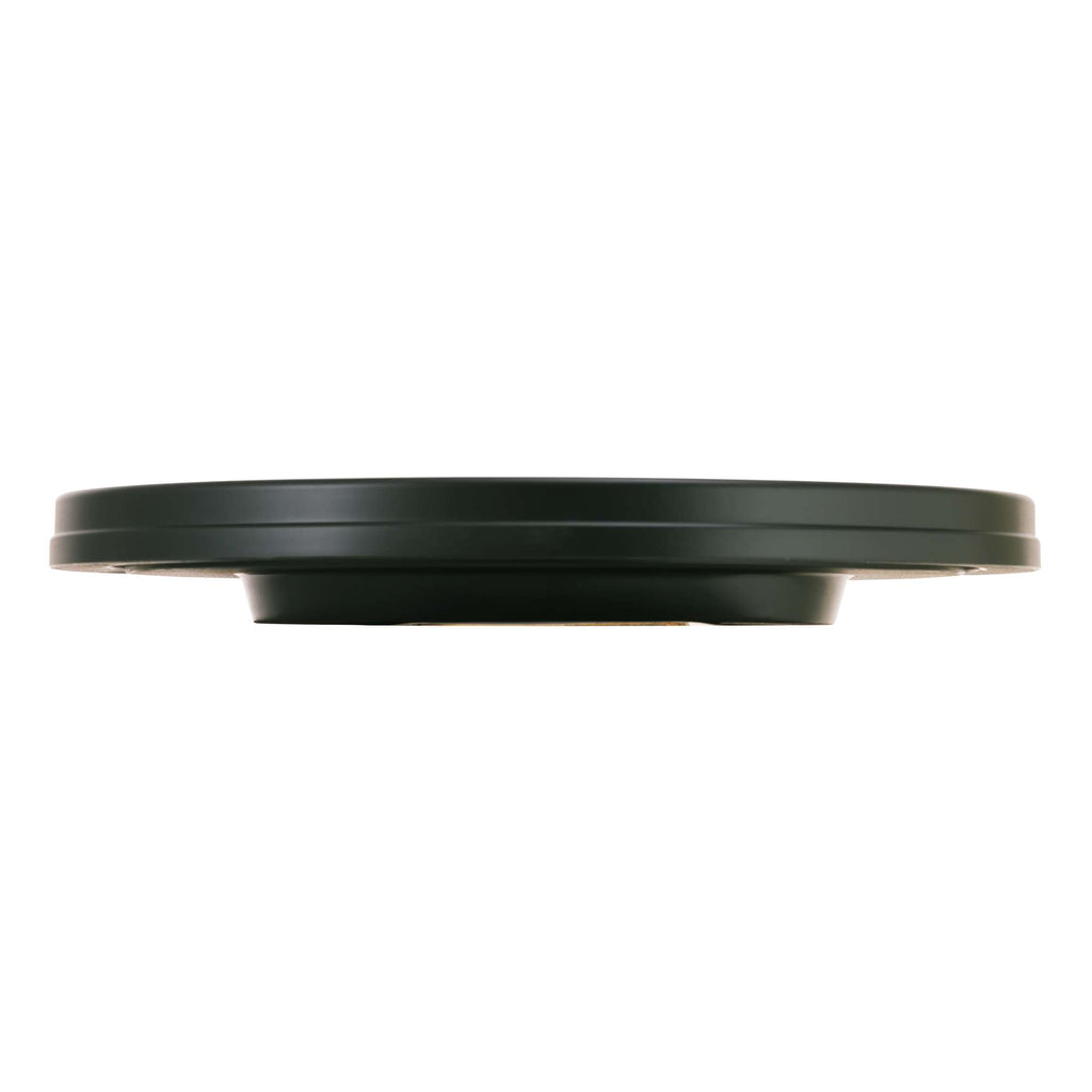 Side view of a round black plate.