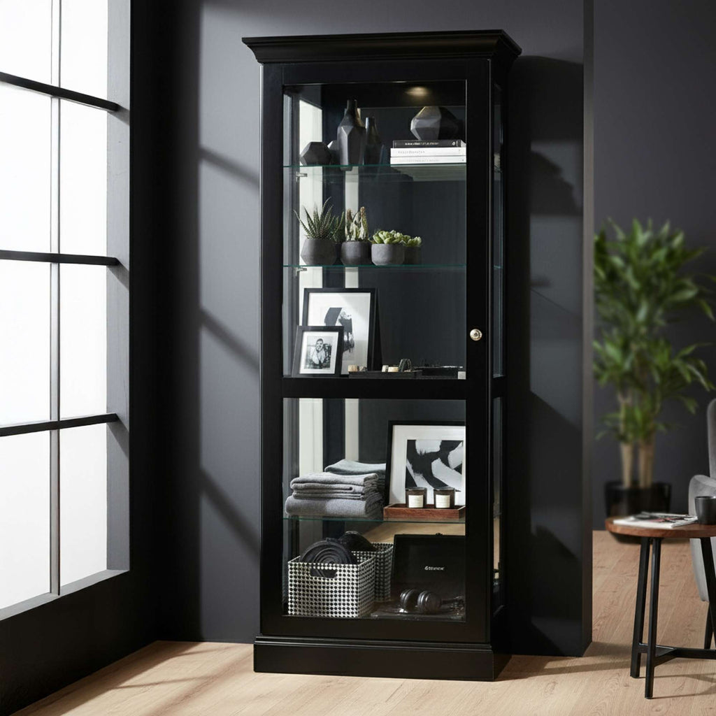 A black glass display cabinet showcasing decorative items and plants in a modern room.